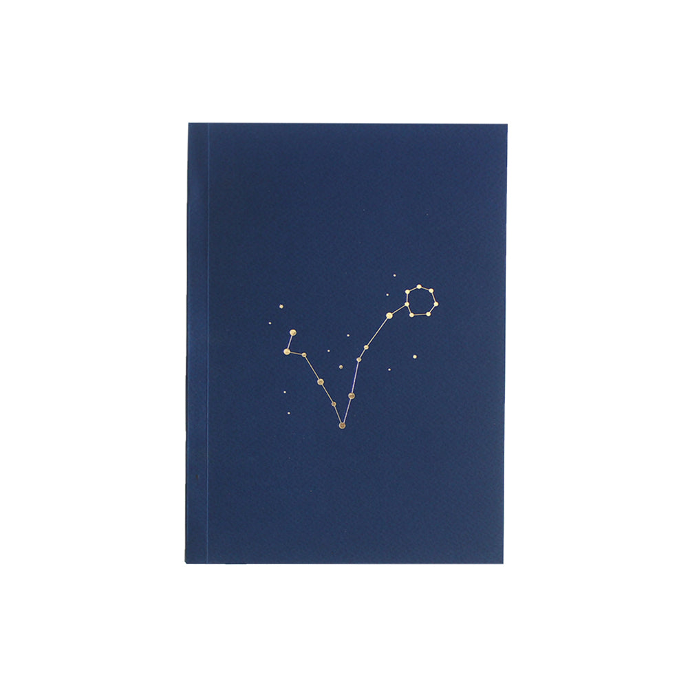 Pisces notebook
