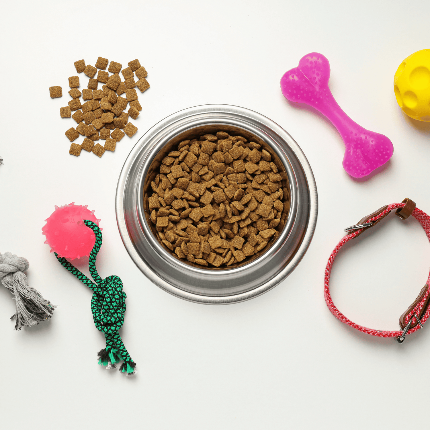 Pet Supplies