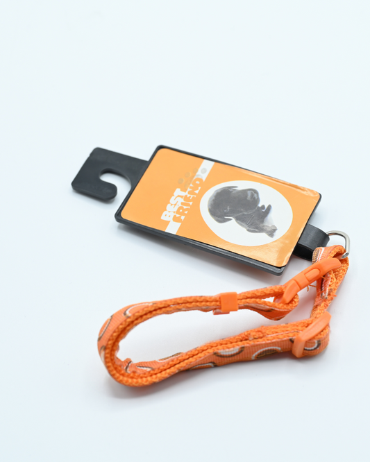 leash