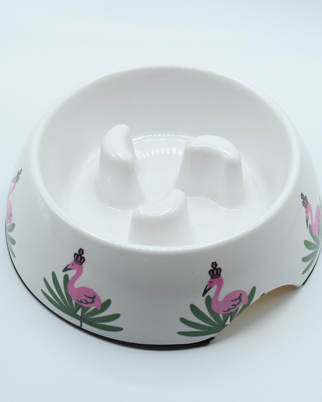 dogs food plate