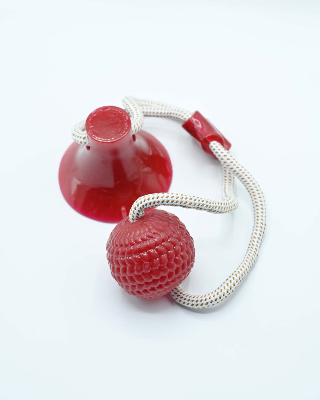 pet toys
