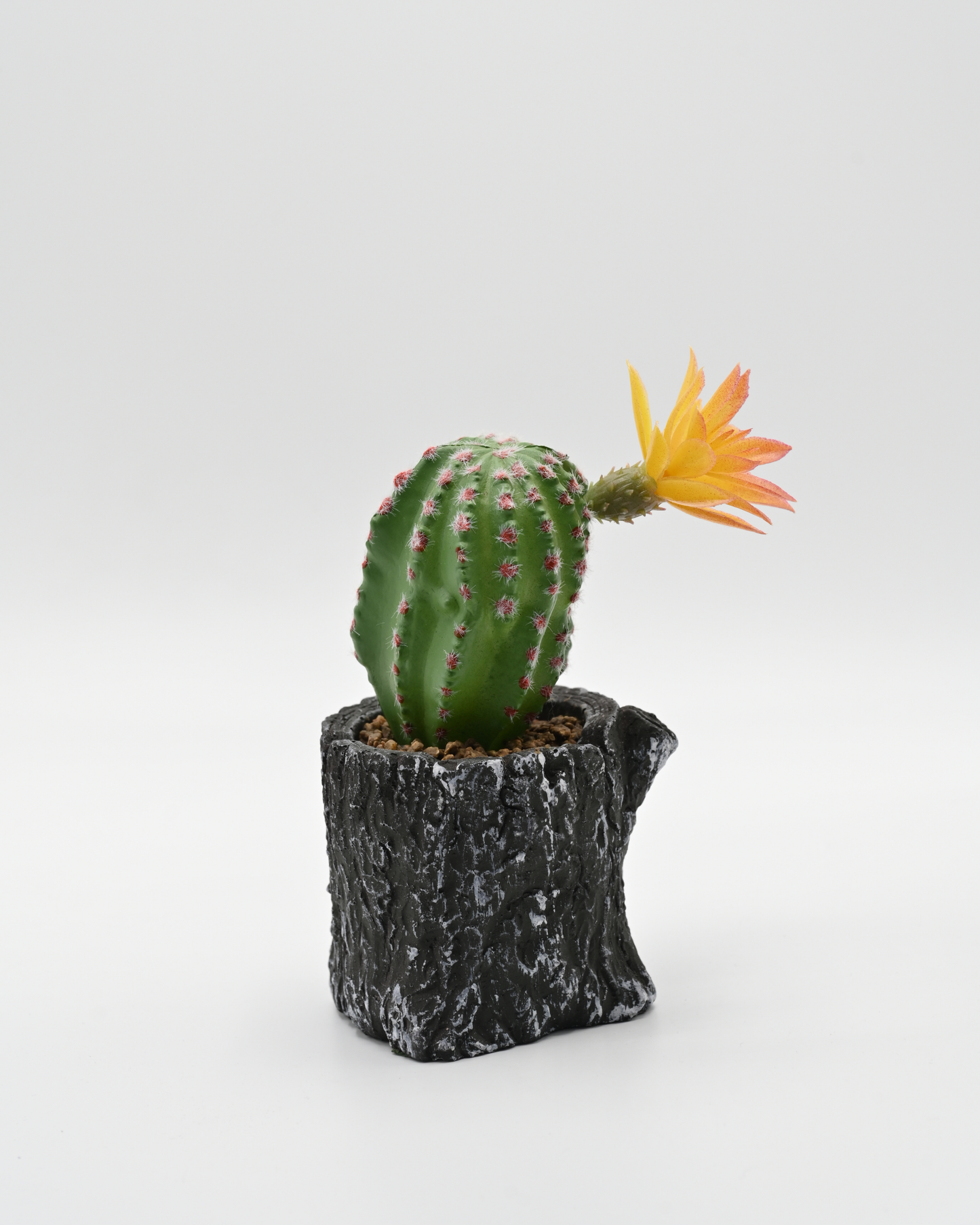 Cactus Decoration