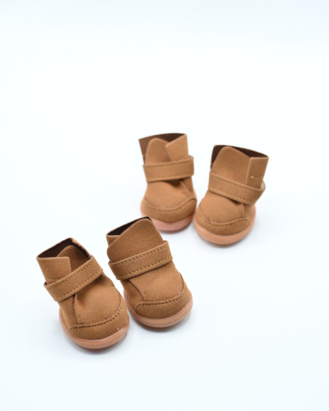 dog shoes