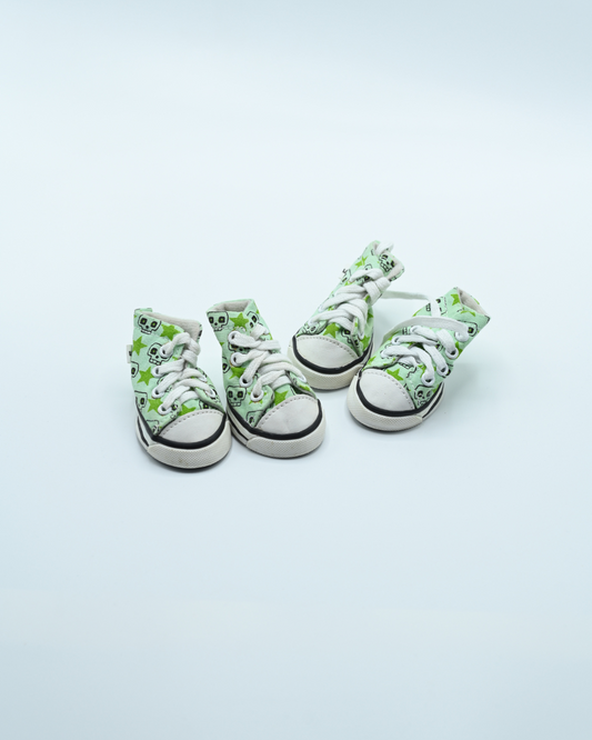 dog shoes