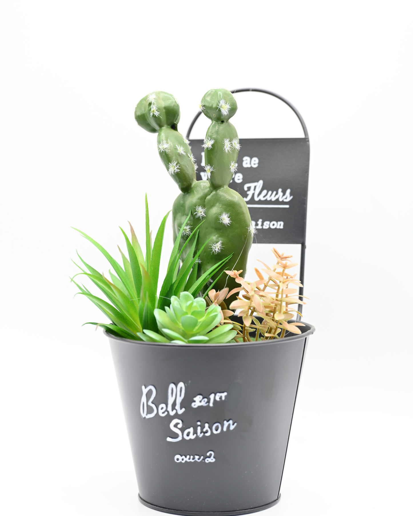 Cactus Decoration