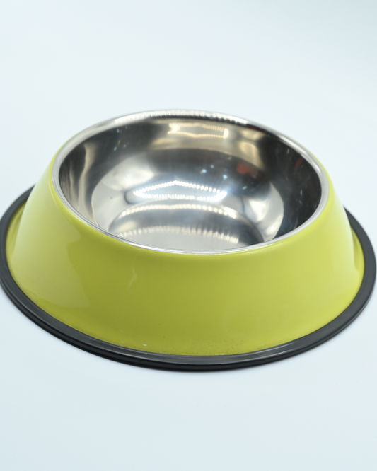 dogs food plate