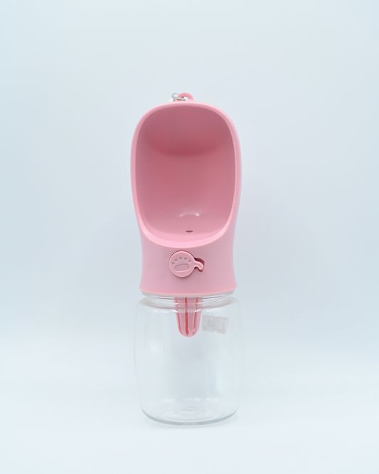 dogs water bottles